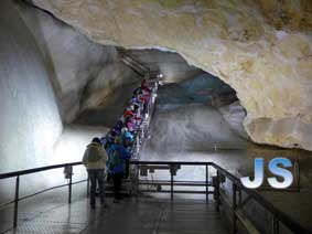 Jn Schenko