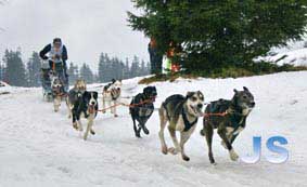 Jn Schenko